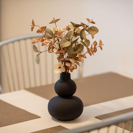 Coresi Vibe Apartament 207 Брашов Экстерьер фото
